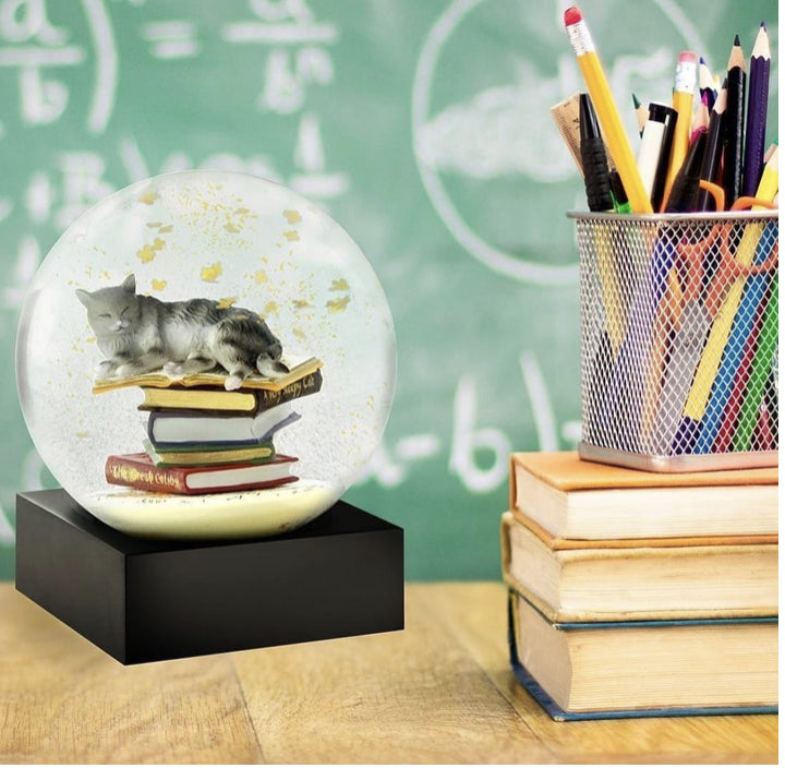 Cool Snow Globe, 