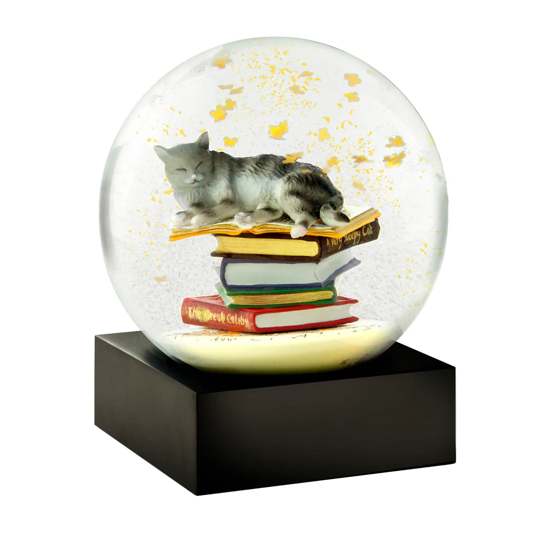 Cool Snow Globe, 