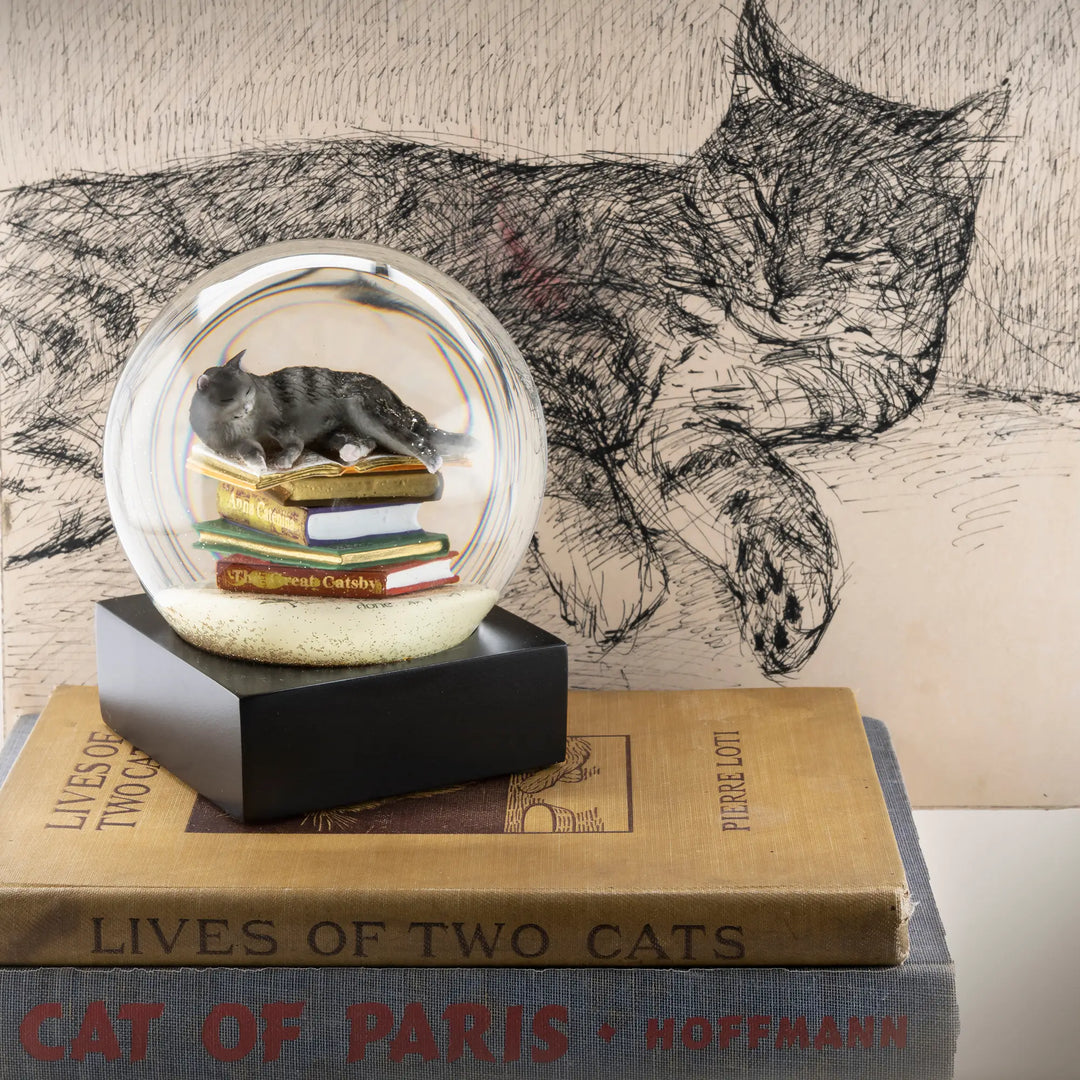COOLGLOBES スノードーム Cat on Book 気泡あり Cool Snow Globe, 