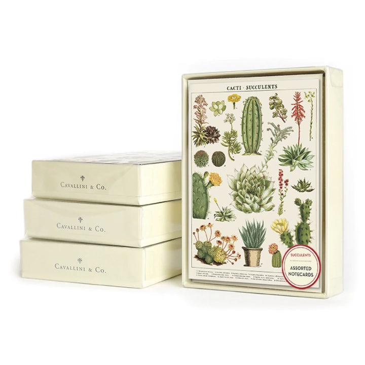 cavallini succulents Cavallini & Co., "Succulents" Boxed Note Cards – Au Bon Goût Boutique