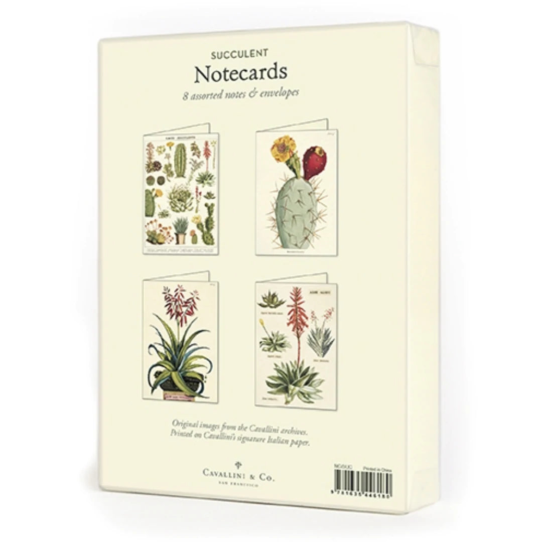 succulent notecards Cavallini & Co., "Succulents" Boxed Note Cards